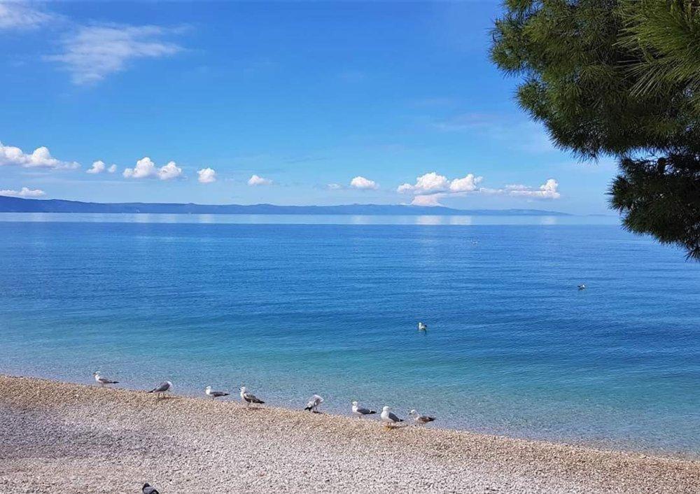Apartmani Mirona - Tucepi Bagian luar foto