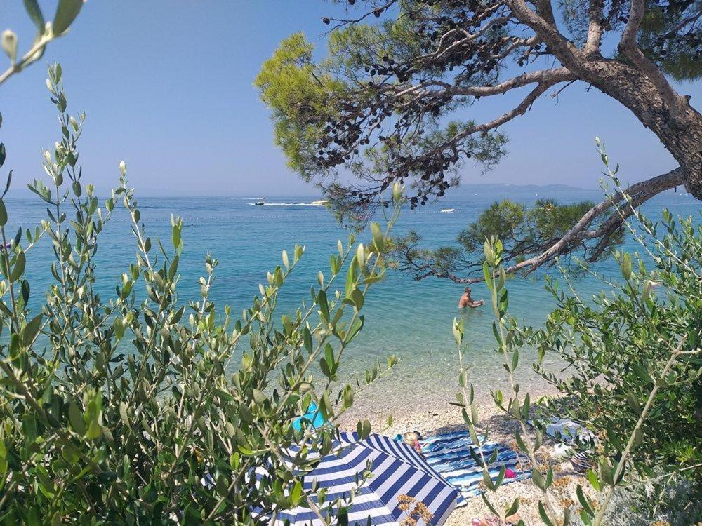 Apartmani Mirona - Tucepi Bagian luar foto